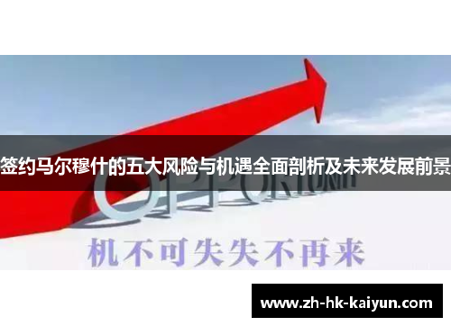 签约马尔穆什的五大风险与机遇全面剖析及未来发展前景