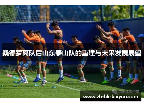 桑德罗离队后山东泰山队的重建与未来发展展望