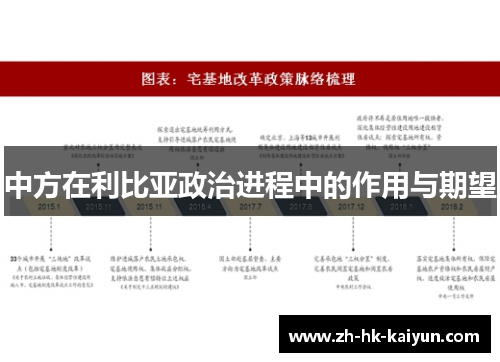 中方在利比亚政治进程中的作用与期望