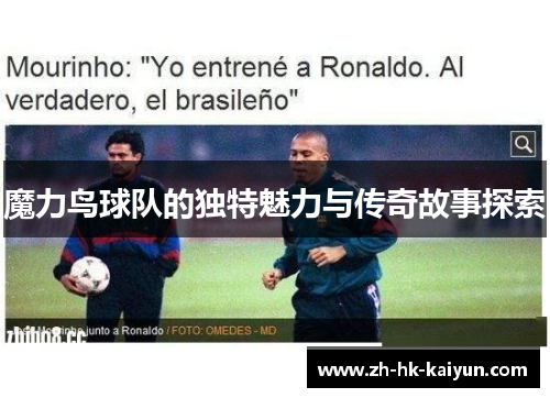 魔力鸟球队的独特魅力与传奇故事探索